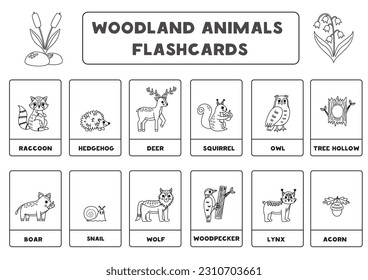 Black and white flashcards for kids with cute woodland animals. Educational cards.