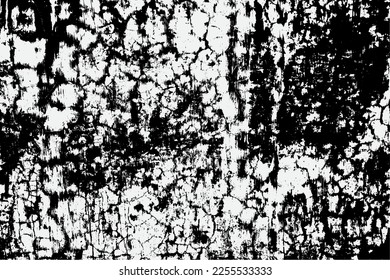 black and white fleck texture, Artistic and natural Texture With Vector EPS format