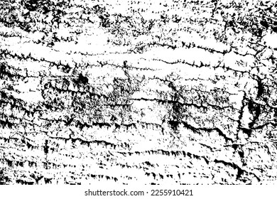 Schwarz-Weiß-Fleck-Textur, künstlerische und natürliche Textur mit Vektorgrafik-EPS-Format