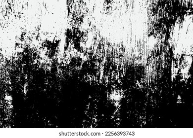 black and white fleck texture, Artistic and natural Texture With Vector EPS format