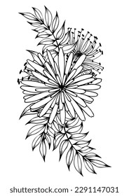 Black and white floral arrangement for your design. Hand drawn vector illustration.