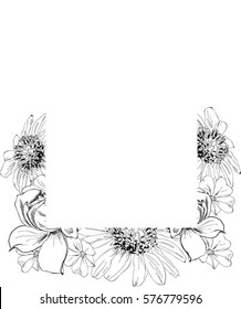 Black and White Floral Bottom Half Vector Border surrounding white square in the center