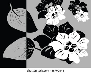 Black and white floral card, vector illustration