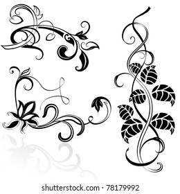 Elementos de diseño floral en blanco y negro.