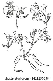 Black and white floral elements. Good for wedding invitation, background, brochure or wrapping paper design. Vector