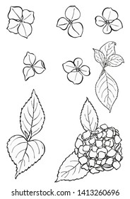 Black and white floral elements. Good for wedding invitation, background, brochure or wrapping paper design. Vector