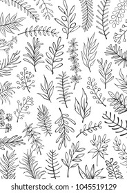 black and white floral hand drawn farmhouse style outlined twigs branches  background 