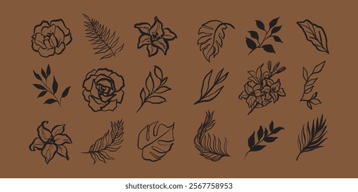 Black and white floral illustrations. Various floral designs include leaves and flowers. Simple floral patterns perfect for floral-themed projects. Aesthetic hand drawn nature element vector set.