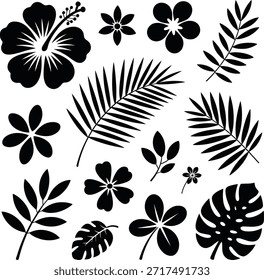 Folhas de padrão floral e folha preto e branco