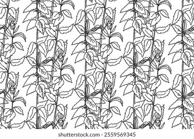 Black and white floral line art seamless pattern.Botanical plants and flowers vector illustration abstract background.Graphic design for fashion textile cover wrapping wedding invitation greeting card