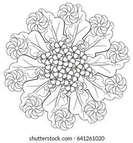 Black and white floral pattern for coloring book in doodle style. Vector elements for design. Good for art therapy, zentangle-style meditation and design of wrapping and textile.