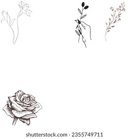 Diseño de patrones florales en blanco y negro 