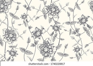 Patrón sin costuras floral blanco y negro. Hermosas flores de jardín florecientes clematis. Ilustración vectorial. Dibujo manual. Vintage. Fondo decorativo para la creación de papel, tapicería, textil de verano.