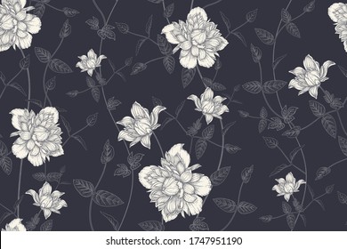Black and white floral seamless pattern. Beautiful blooming garden flowers clematis. Vector illustration. Hand drawing. Vintage. Background for paper, wallpaper, summer textile.