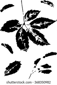 Black and white floral seamless pattern with leaves of wild grape and maple seeds stylized as stamp or imprint; rustic or boho style. May be used for textile, wrapping paper or in scrapbooking