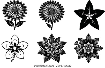Black and White Floral Vector Set | Daisy, Starflower and Botanical Silhouettes for Digital Art
