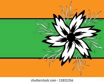 black and white flower