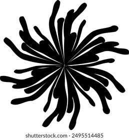a black and white flower