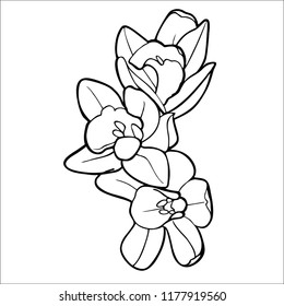 Black white flower coloring
