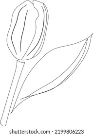 Black - white flower. Coloring. A simple drawing of a tulip flower. Vector.
