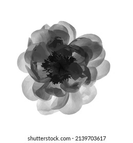 Black and white flower design stock illustration. Abstract flower 