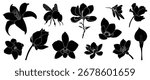 Black and white Flower element vector set.  Silhouette botanical with floral, stalk, branch, leaves. Design illustration for card, packaging, sticker, decorative.