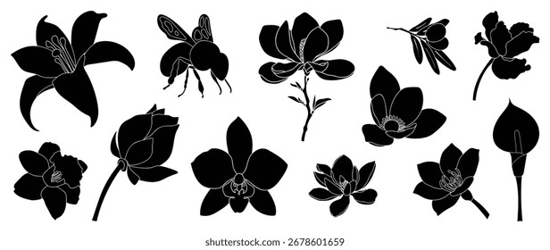 Conjunto de Vector de elemento de flor en blanco y negro.  Silueta botánica con flores, tallo, rama, hojas. Ilustración de diseño para tarjeta, embalaje, pegatina, decorativo.