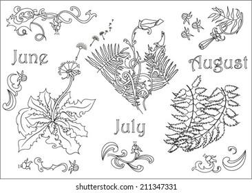 Black and white flower elements collection hand drawn vector