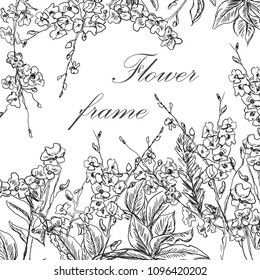 Black and white flower frame. Pattern with flower meadow. Vector illustration in ink hand drawn style.