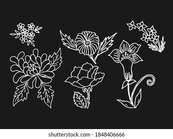 Black and white flower illustrations. Set collection of hand drawing flowers vector art.