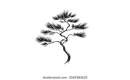 black and white flower isolated on white