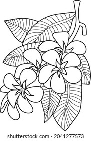 Black and white Flower leaf free vector image
