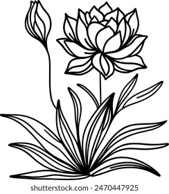 black and white flower lily.
