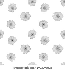 Black and white flower on white background. Seamless pattern. Vector Illustration. EPS10