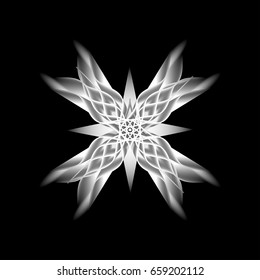 Black and white flower on a black background