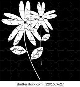Black and white flower Pattern Seamless Design Background
