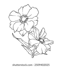Black And White Flower Vector Illustration