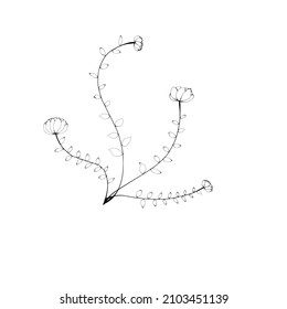 vector de flores en blanco y negro para la decoración de papel pintado