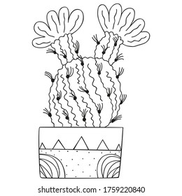 Black and white flowering Echinocereus in a rectangular pot. Isolated North American cactus for a coloring book. Vector doodle.