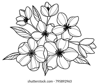 black and white flowers 