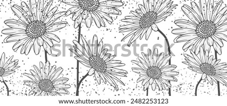 Black and white flowers design with delicate hand-drawn daisies.