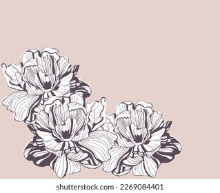 Black and white flowers illustration. Hand drawn botanical art. Set of peony flowers. Flowers for cards, invitation, weeding card. Line drawn peony. Pen drawn peonies. Flowers in the corner.