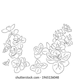 Black and white flowers on white background