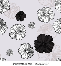 Flores blancas y negras en un fondo gris. adormidera silvestre, margarita, crisantemo, peonía.