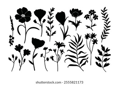 Black and white flowers set