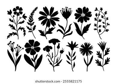 Black and white flowers set