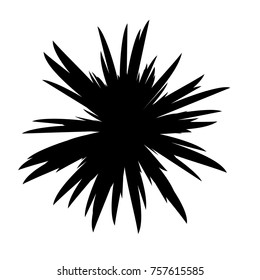 Black and White Flowers Silhouette, Spring and Valentines Day, Abstract Imprints Silhouettes of Meadow Chamomiles Artwork for Textiles, Fabrics