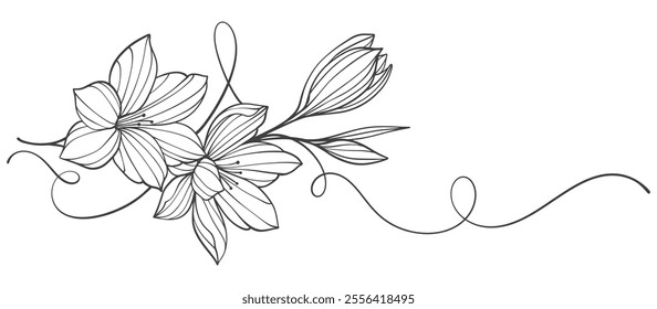 black and white flowers. Sketch Floral Botany Collection. flower drawings. Black and white with line art on white backgrounds. Hand Drawn Botanical Illustrations.Vector eps