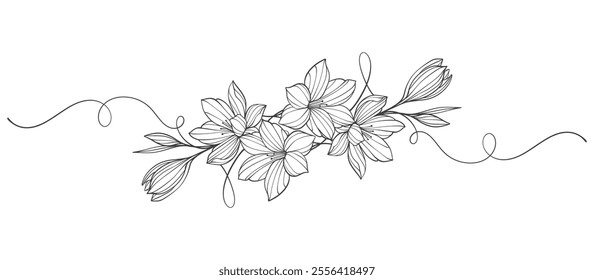 black and white flowers. Sketch Floral Botany Collection. flower drawings. Black and white with line art on white backgrounds. Hand Drawn Botanical Illustrations.Vector eps