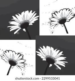 Black and White Flowers Vector